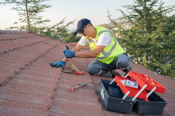 Best Roof Gutter Cleaning  in Ruthers, CA